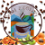 5042c441a760921421dc75aa27144ecb.png