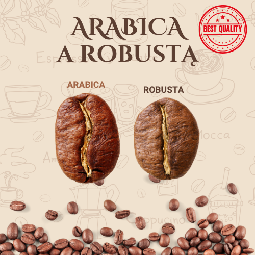 Grafika przedstawia porównanie dwóch gatunków kawy: Arabica z Robustą.  Na jasnobeżowym tle z delikatnymi ilustracjami filiżanek i ekspresów widać:  tytuł „ARABICA A ROBUSTA” w eleganckiej, ciemnobrązowej czcionce,  dwa duże ziarna kawy: po lewej Arabica (bardziej podłużne, z delikatnym rowkiem), po prawej Robusta (bardziej okrągła, z prostszym rowkiem),  podpisy pod ziarnami, ułatwiające rozróżnienie gatunków,  w prawym górnym rogu czerwony stempel „BEST QUALITY”,  na dole pas ziaren kawy, nadający kompozycji naturalny, ciepły charakter.  Grafika w przystępny sposób ilustruje różnicę między Arabiką a Robustą